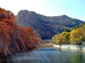 正新澳门二四六天天彩，浴室女尸